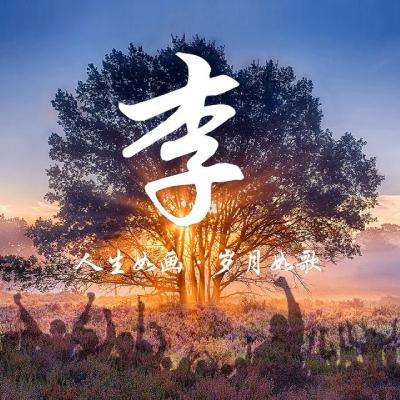 萌宠转转转手游下载
