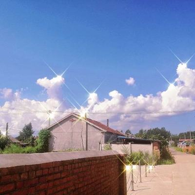 华为晴天小狗游戏下载
